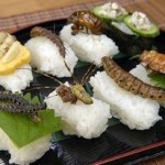 世界のゲテモノ料理【画像】！！虫、カエル、脳ミソ…こんな生物まで食うの！？