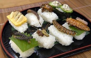 世界のゲテモノ料理 画像 虫 カエル 脳ミソ こんな生物まで食うの 生き物係 Ikimono Kakari