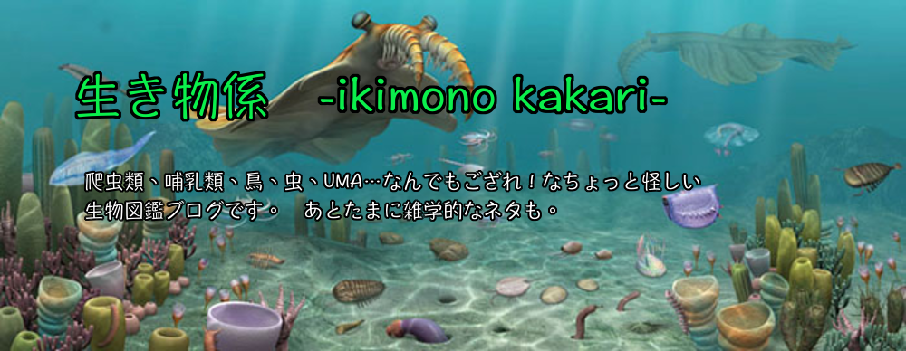 カンブリア紀の生物図鑑 古代の海に迫る 生き物係 Ikimono Kakari